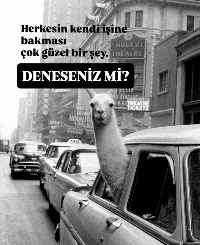 Var mı çevrenizde herşeyinize karışan canımlar?