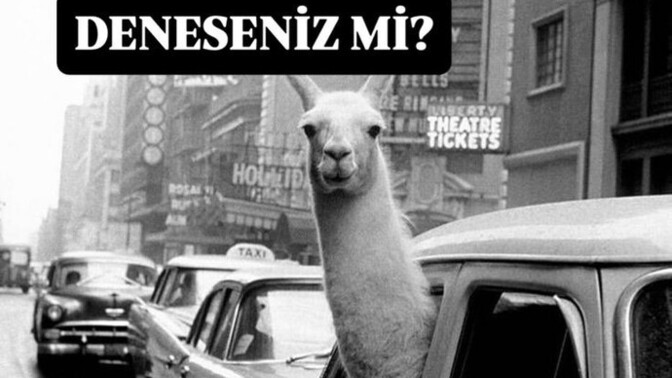 Var mı çevrenizde herşeyinize karışan canımlar?