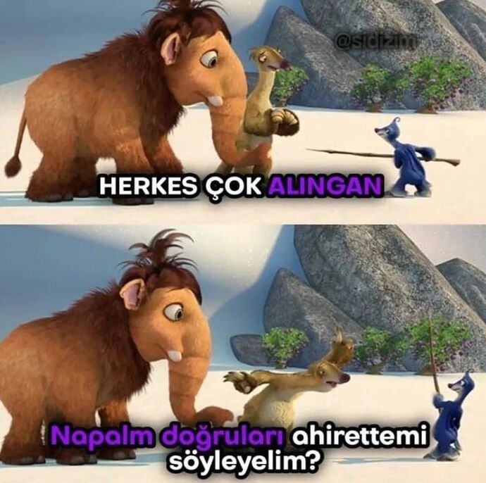 Pişman olur musunuz?