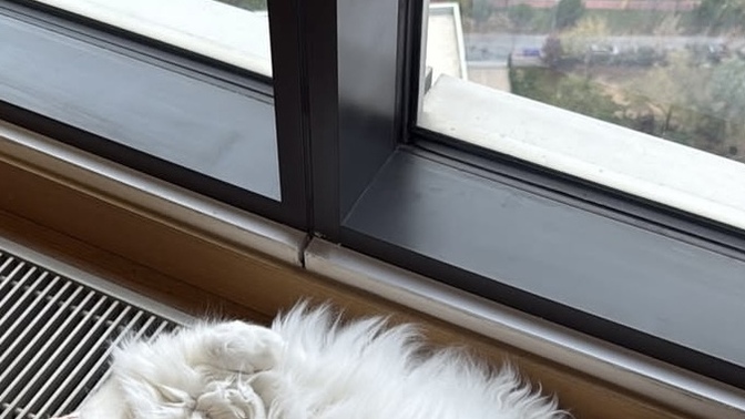 İnsan gerçekten olgunlaşıyor mu? yoksa artık trip atmaya enerjisi mi kalmıyor?