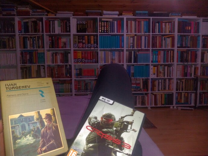 Bilgisayar oyunu oynayan erkek mi iyidir, kitap okuyan erkek mi?