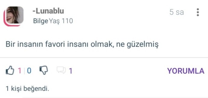 Sevilmeyi anlatan en tatlı cümle nedir?