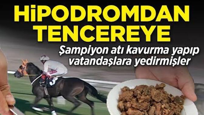 Ne oldum mu dersiniz, ne olacağım mı?