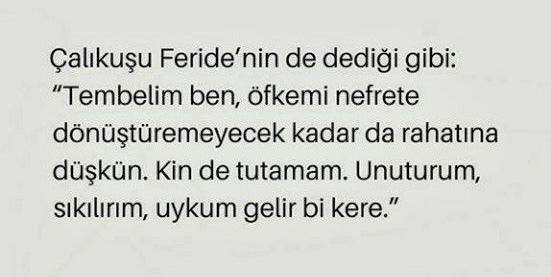 ‘Tanıyamamışım’ der silerim