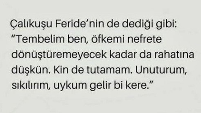 Seni kin tutar mı?