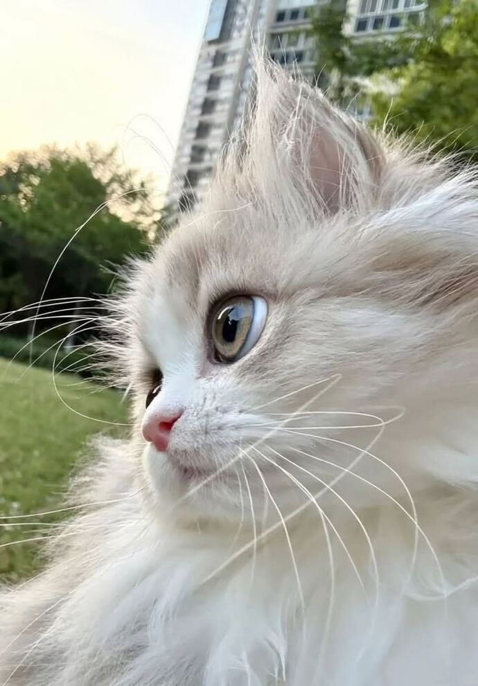 Harcamalarınıza dikkat eder misiniz?