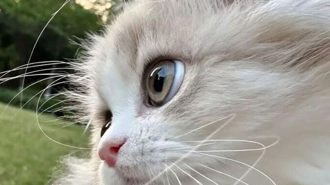 Harcamalarınıza dikkat eder misiniz?