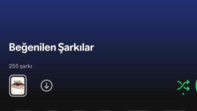 1-255 arası rastgele bir sayı söyler misiniz?