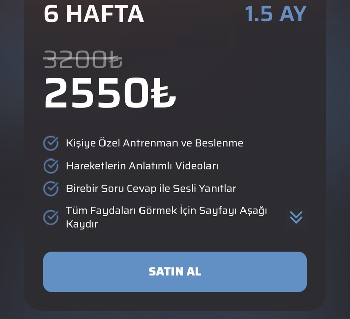 Sizce bunu satın almam mantıklı mı?