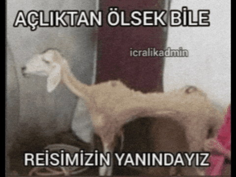 Sizce kim daha yakışıklı, Mustafa Kemal Atatürk mü yoksa Recep Tayyip Erdoğan mı?