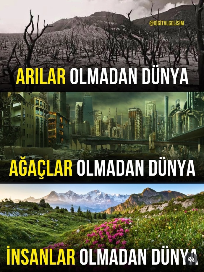 Dünyanın daha iyi bir yer olması için gereken şey nedir sizce?