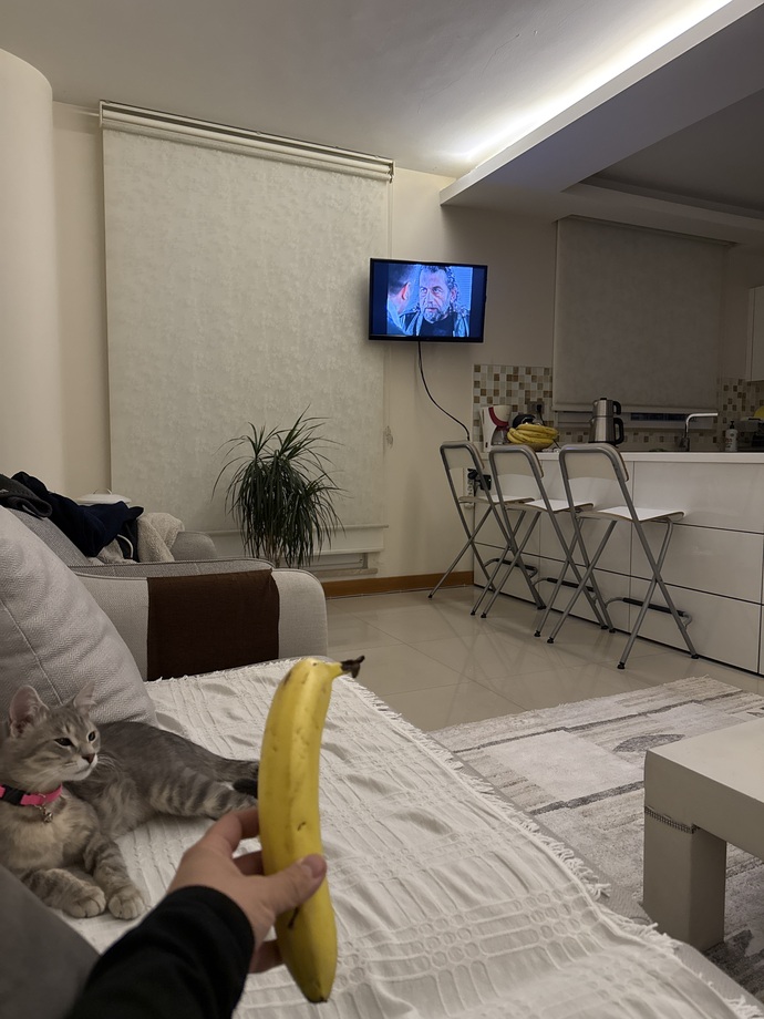 En çok sevdiğiniz meyve hangisi KS üyeleri?
