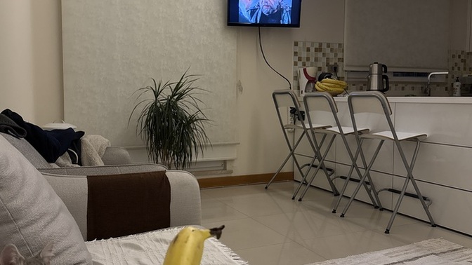 En çok sevdiğiniz meyve hangisi KS üyeleri?