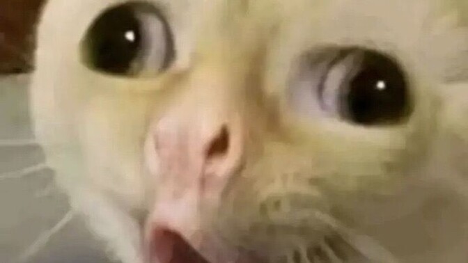 Ben bunu giymem dediğiniz bir kıyafet tarzı var mı?