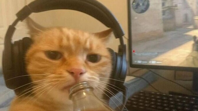 Siz bilgisayar oyunları oynuyor musunuz, en çok hangi oyunları seviyorsunuz?