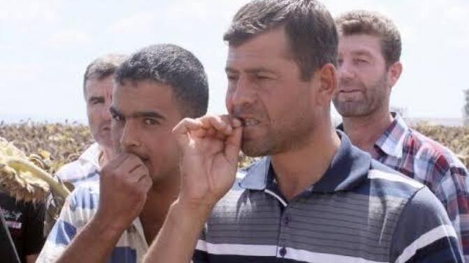 Bu sitede daha tanımadan gıcık olduğunuz üye var mı, tek bir özelliğini söyler misiniz?