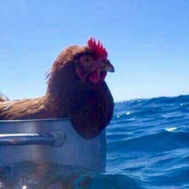 Yalnızlık niye bazılarında komik duruyor?