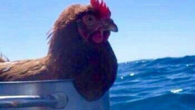 Yalnızlık niye bazılarında komik duruyor?