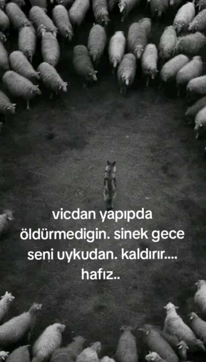 Vicdanınız sizi nereye götürdü?