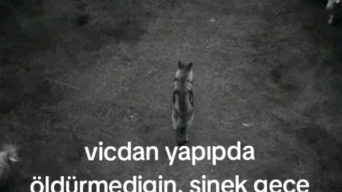 Vicdanınız sizi nereye götürdü?