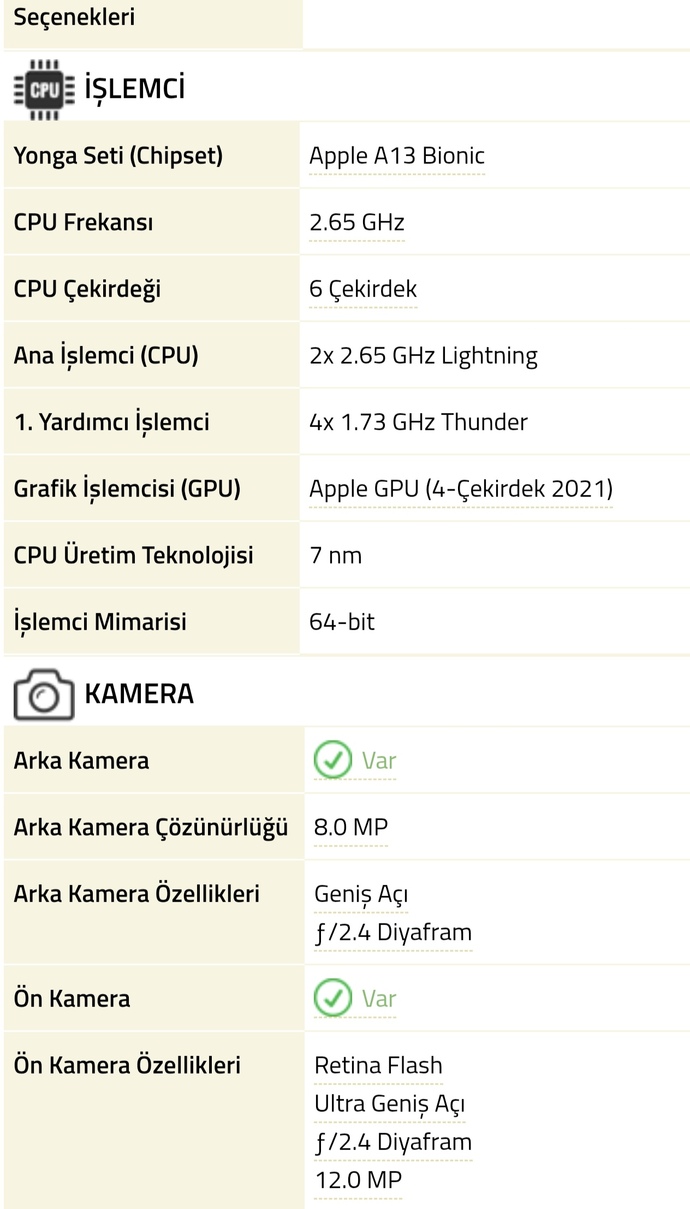 Bu özelliklere sahip ipad 9. nesil sadece film, dizi, maç izleyecek birine ortalama kaç yıl gider?