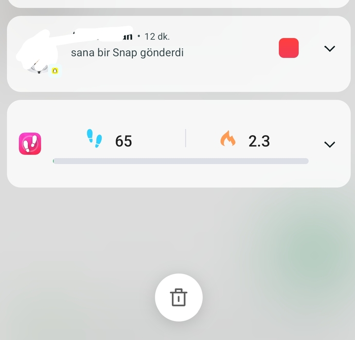 Bu snapchatte hikaye bildirimi mi toplu mesaj falan mı nasıl anlaşılıyor mesaj yerine düşüyor?