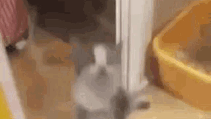Bu bayram kapına gelsem, bana kaç TL harçlık sıkıştırırdın?