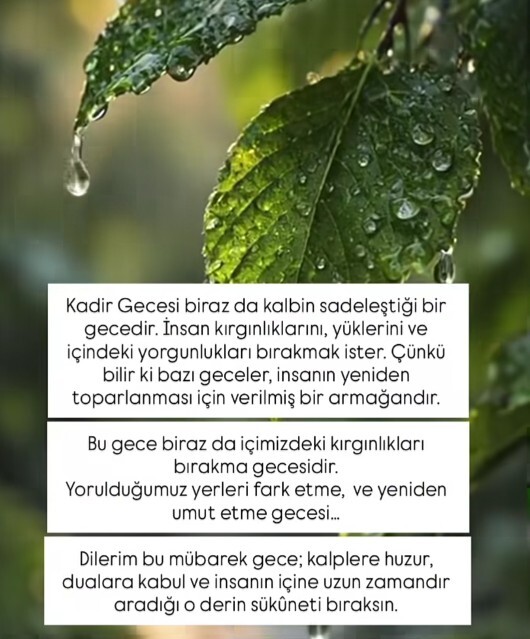 Bu gece var mısınız dualarla hafiflemeye, affolunmak için birlikte dua edelim mi?