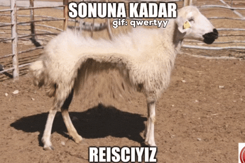 Makarna yemeyi sever misiniz?