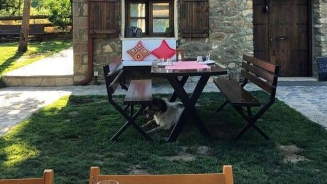 Köyde yaşamak çok cazip geliyor ama cevremdeki kimse bunu hos görmüyo sizce peki?