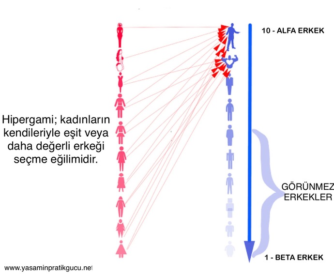 Tam olarak şu şekil bir olgun erkek istiyorum?