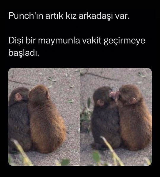 Kız/erkek arkadaşınız var mı?
