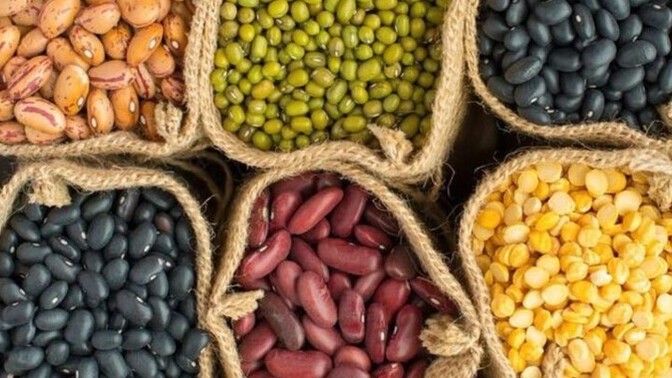 Yemek olarak en sevdiğiniz bakliyat aşağıdakilerden hangisi?