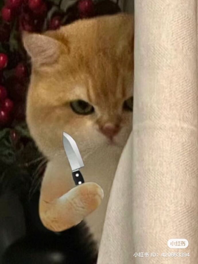 Hiç racon kestiniz mı ya da kesebiliyor musunuz?