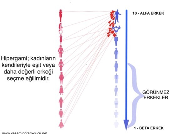 Kadinlarin erkek seçimi tam olarak şu fotoğraf?