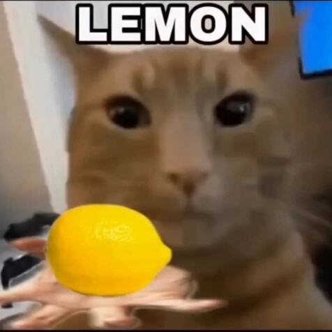 Sana limon verir miydim vermez miydim söyleyeyim mi?