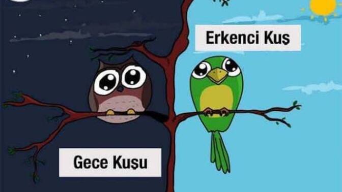Siz sabah insanı mısınız yoksa mecburiyetten gece kuşu olup uykusuz gezenlerden misiniz?