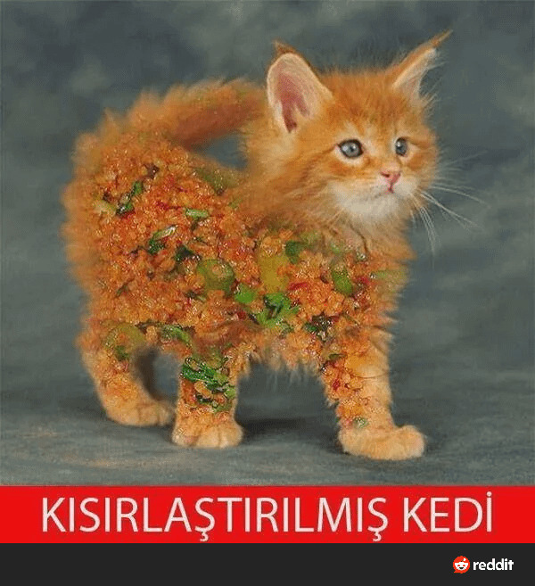 Çocukken doğru bildiğiniz yanlış olan şeylerden hatırladığınız var mı?
