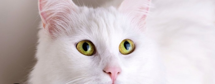 Çocukken doğru bildiğiniz yanlış olan şeylerden hatırladığınız var mı?