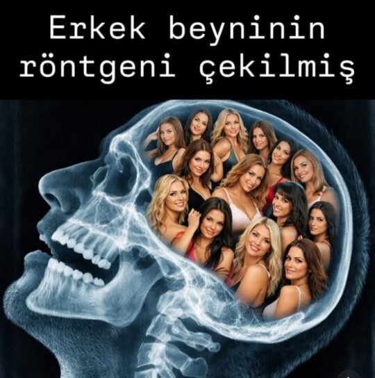 Erkek beynini anlamak gerçekten mümkün mü, erkekler ne düşünür?