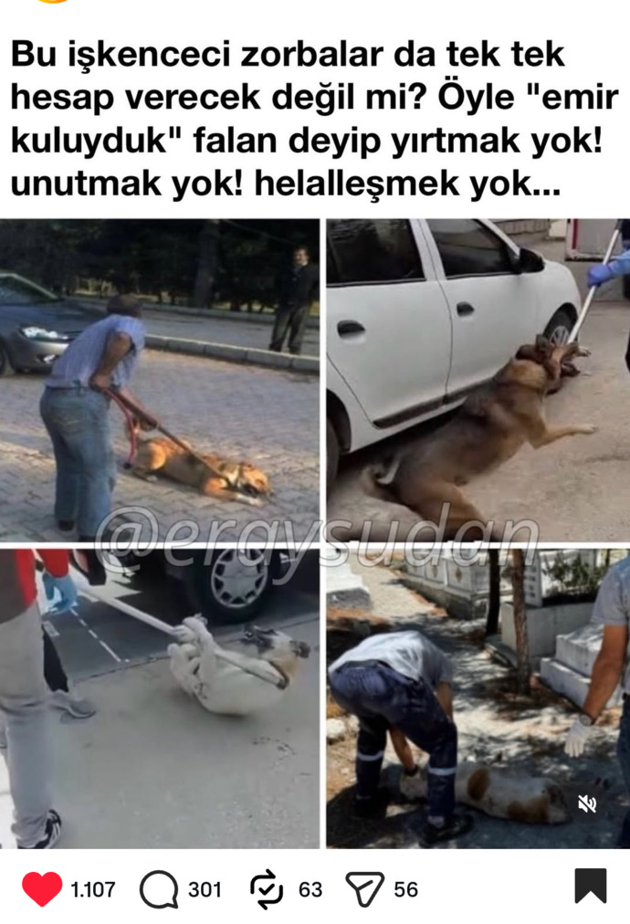 Bi başka ülkelere bak bi de bizim ülkeye bak cennet cennet değil mi cennet ülke?