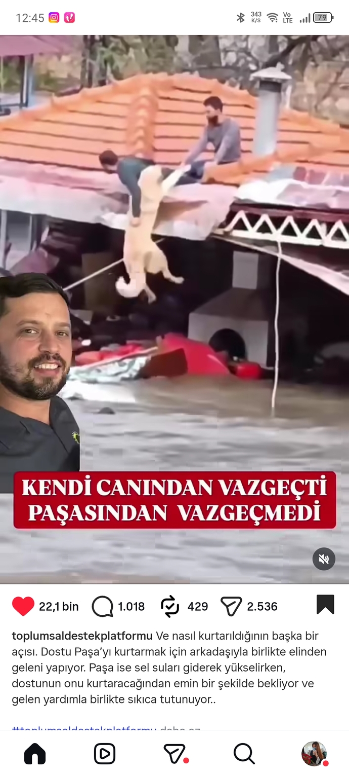 Bi başka ülkelere bak bi de bizim ülkeye bak cennet cennet değil mi cennet ülke?