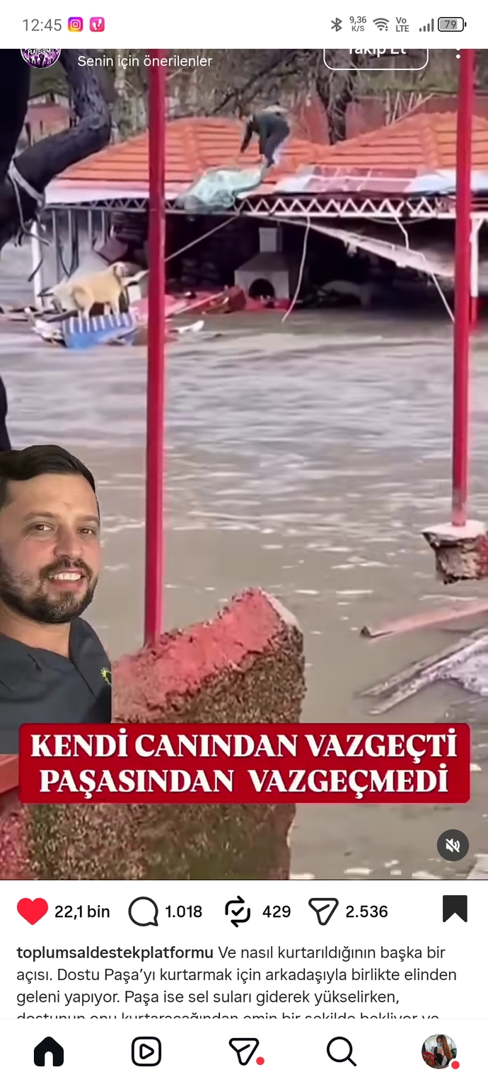 Bi başka ülkelere bak bi de bizim ülkeye bak cennet cennet değil mi cennet ülke?