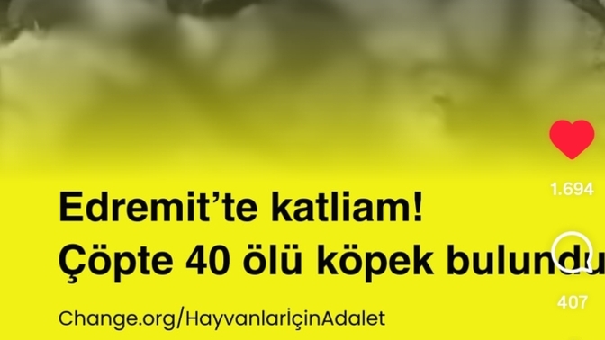 Bi başka ülkelere bak bi de bizim ülkeye bak cennet cennet değil mi cennet ülke?