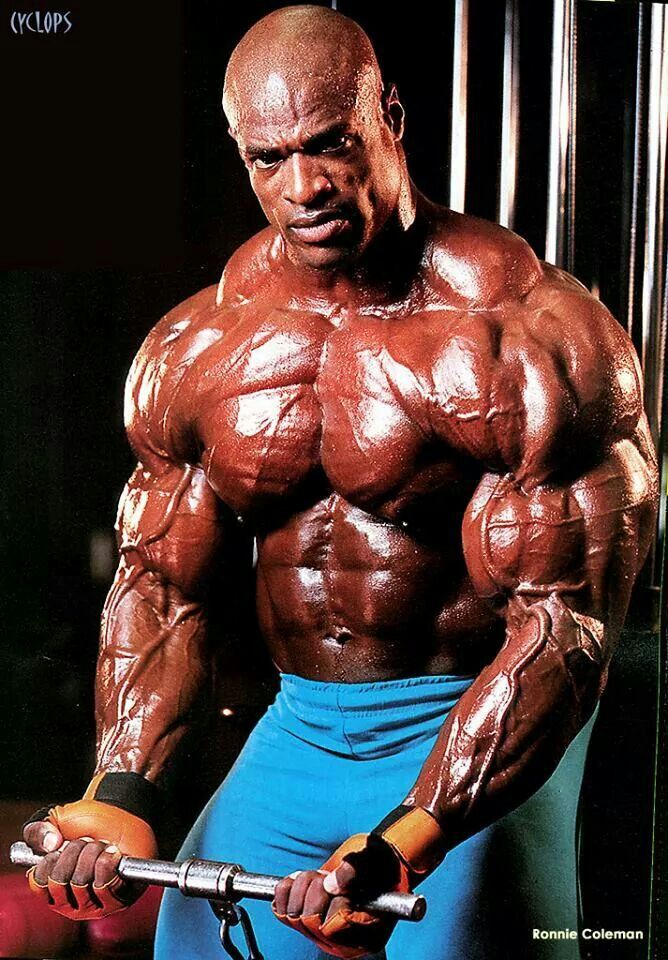 Vücut geliştirme de en çok hangi spor türünü seviyor ve yapıyorsunuz?