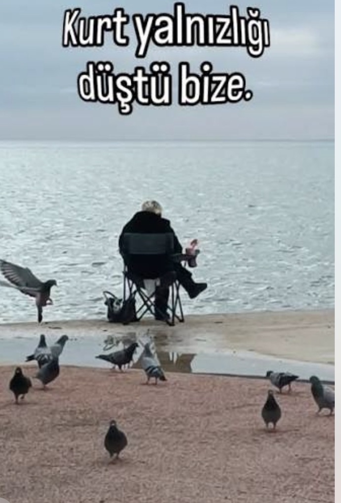 Sabahları uyandırılmadığında, geceleri beklenmediğinde her istediğini yapabildiğin şeye ne denir?