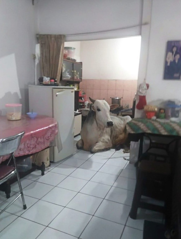 Bu gece ilk kez Ramazan davulcusu olacağım, nelere dikkat etmeliyim?