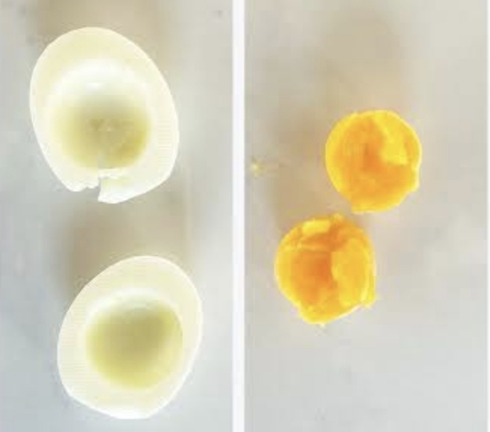 Yumurta beyazı mı yumurta sarısı mı?