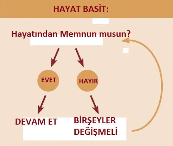 Gercekten hayatindan memnun musun, senin icin ideal hayat nasil olmali?