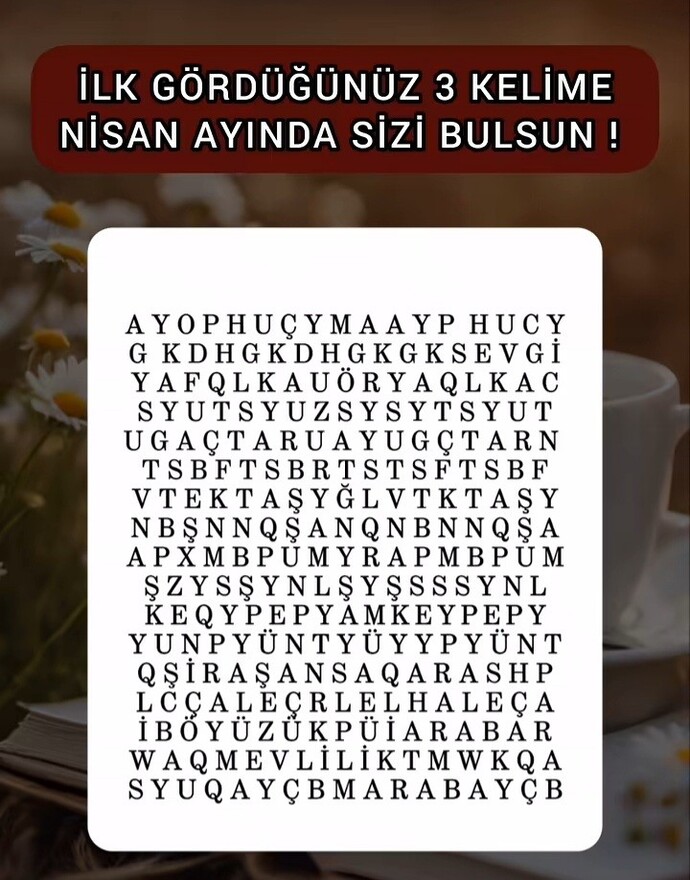 Gördüğün o 3 kelime nedir?